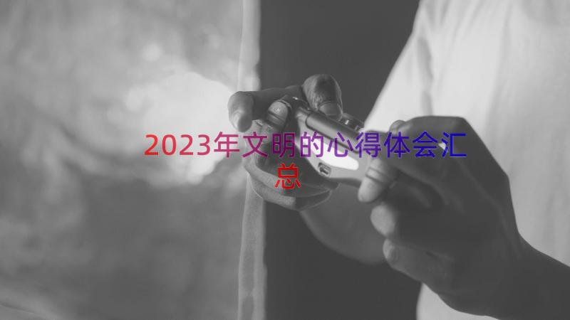 2023年文明的心得体会（汇总14篇）