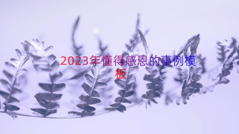 2023年懂得感恩的事例（模板15篇）