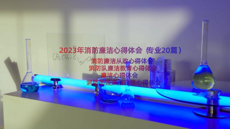 2023年消防廉洁心得体会（专业20篇）