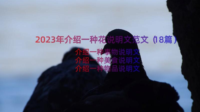 2023年介绍一种花说明文范文（18篇）