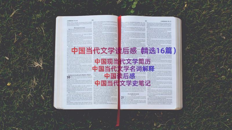 中国当代文学读后感（精选16篇）