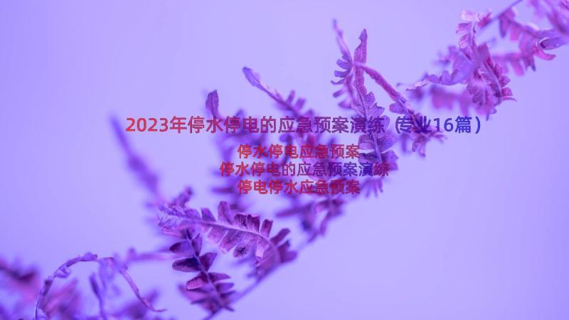 2023年停水停电的应急预案演练（专业16篇）