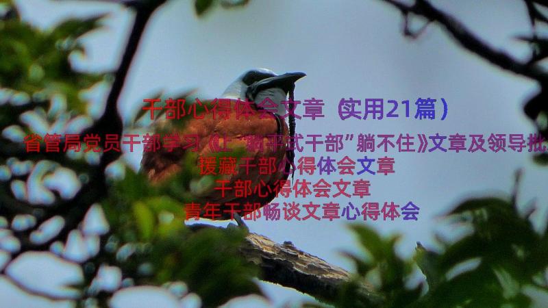 干部心得体会文章（实用21篇）