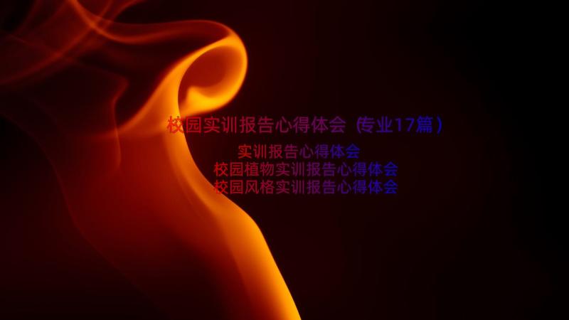 校园实训报告心得体会（专业17篇）