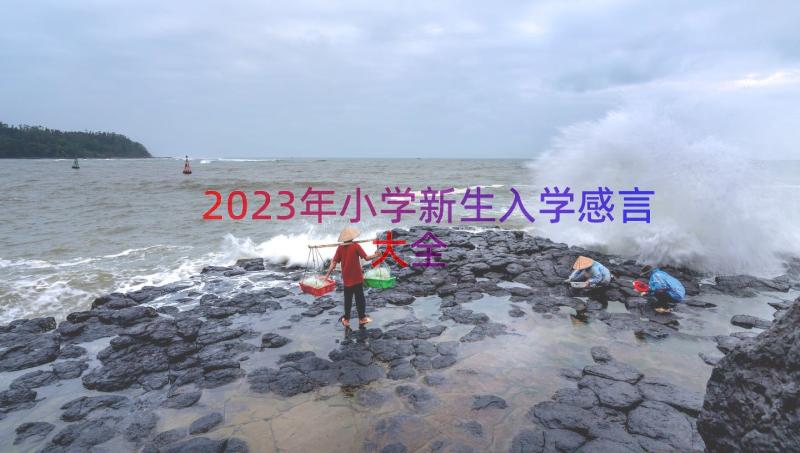 2023年小学新生入学感言大全（16篇）