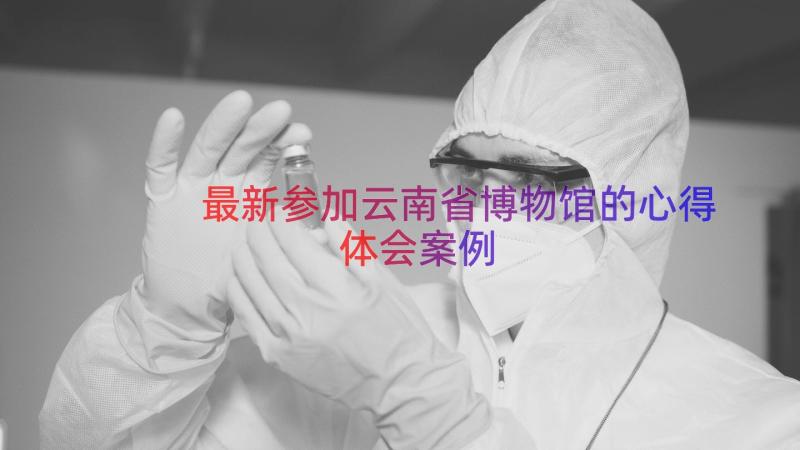 最新参加云南省博物馆的心得体会案例