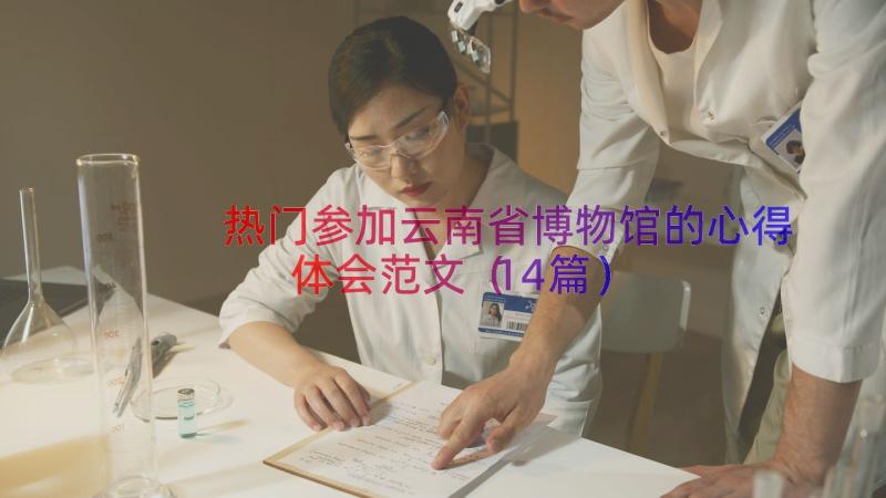 热门参加云南省博物馆的心得体会范文（14篇）