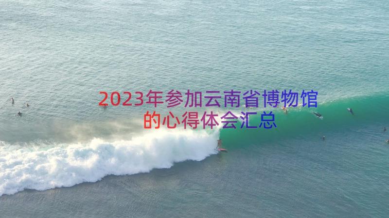 2023年参加云南省博物馆的心得体会（汇总14篇）