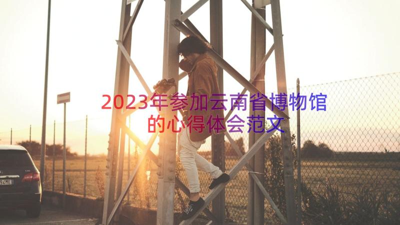 2023年参加云南省博物馆的心得体会范文（17篇）