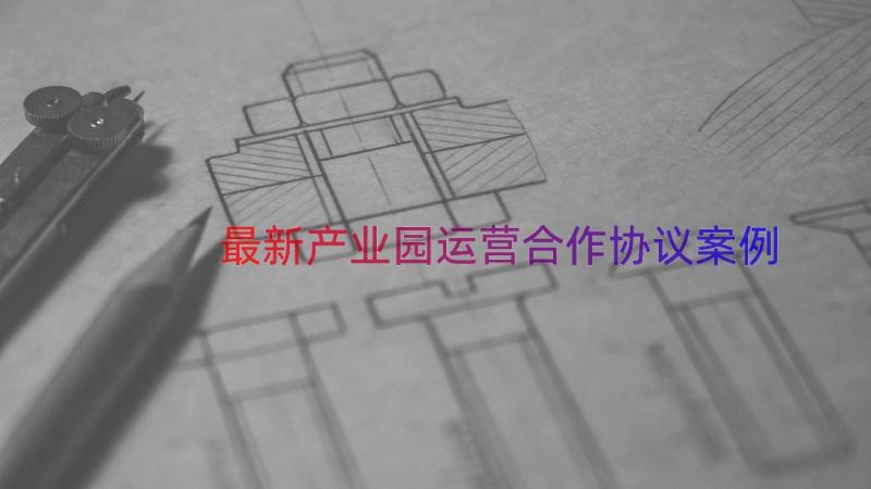 最新产业园运营合作协议（案例17篇）