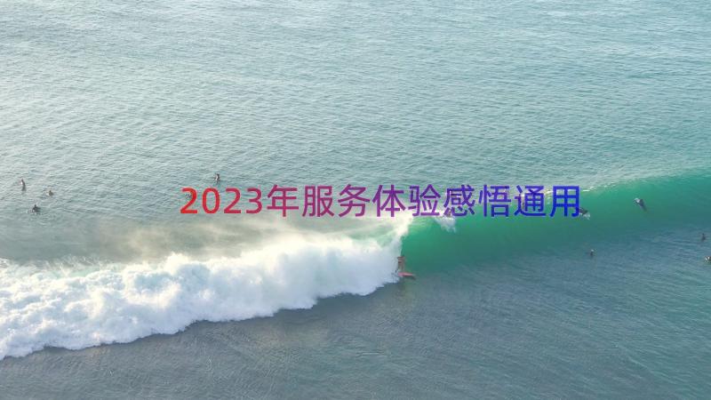 2023年服务体验感悟（通用17篇）