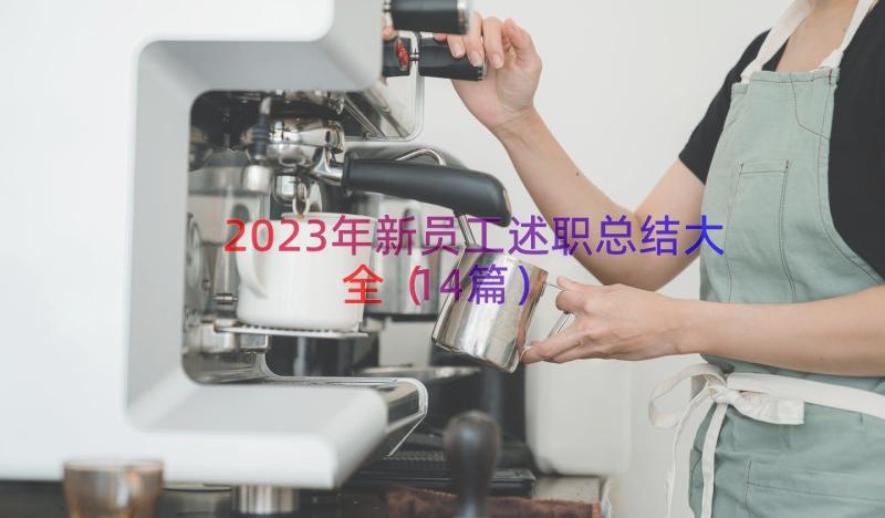 2023年新员工述职总结大全（14篇）