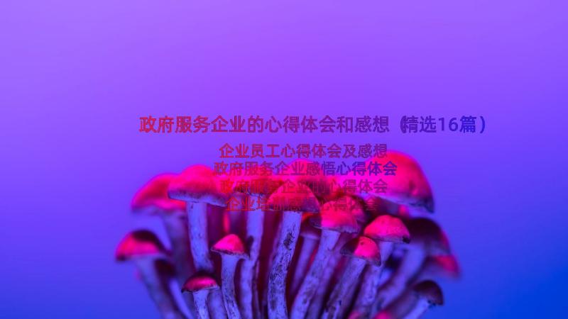 政府服务企业的心得体会和感想（精选16篇）