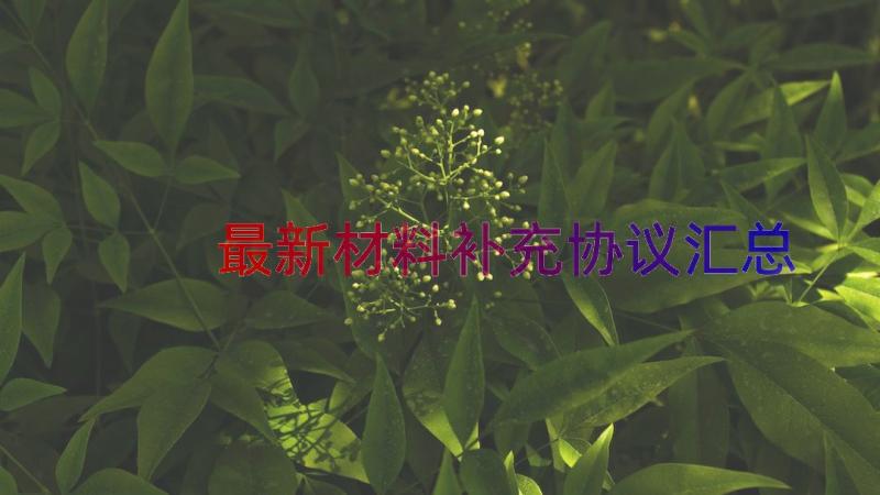 最新材料补充协议（汇总15篇）