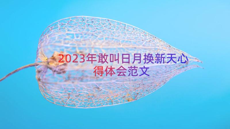 2023年敢叫日月换新天心得体会范文（20篇）