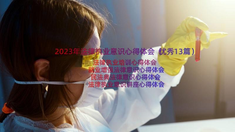 2023年法律执业意识心得体会（优秀13篇）