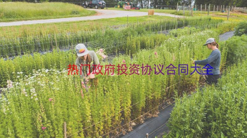 热门政府投资协议合同大全（18篇）