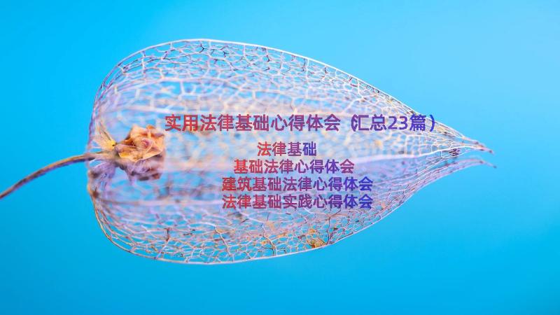 实用法律基础心得体会（汇总23篇）