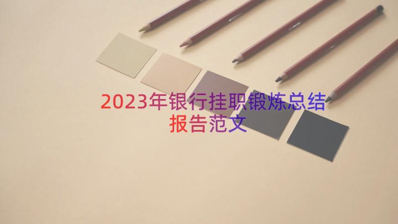 2023年银行挂职锻炼总结报告范文（18篇）