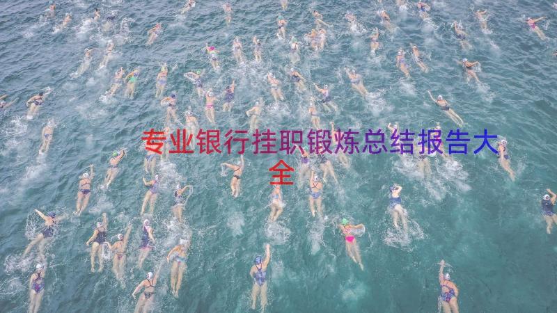 专业银行挂职锻炼总结报告大全（13篇）