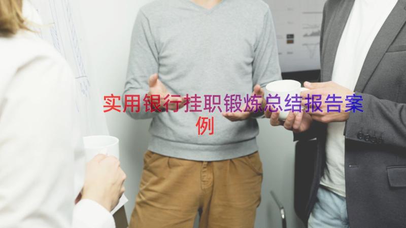 实用银行挂职锻炼总结报告（案例13篇）