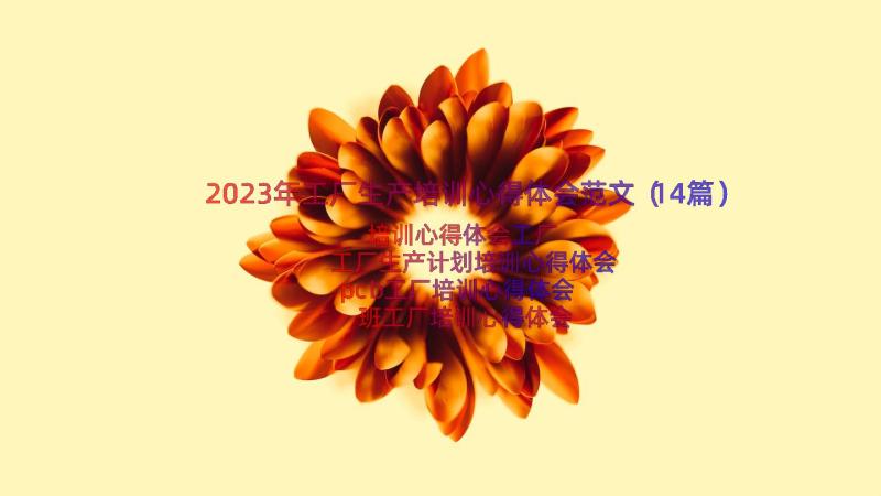 2023年工厂生产培训心得体会范文（14篇）