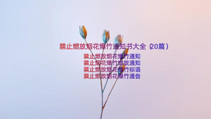 禁止燃放烟花爆竹通知书大全（20篇）