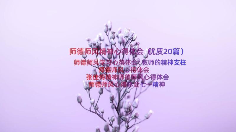 师德师风精神心得体会（优质20篇）