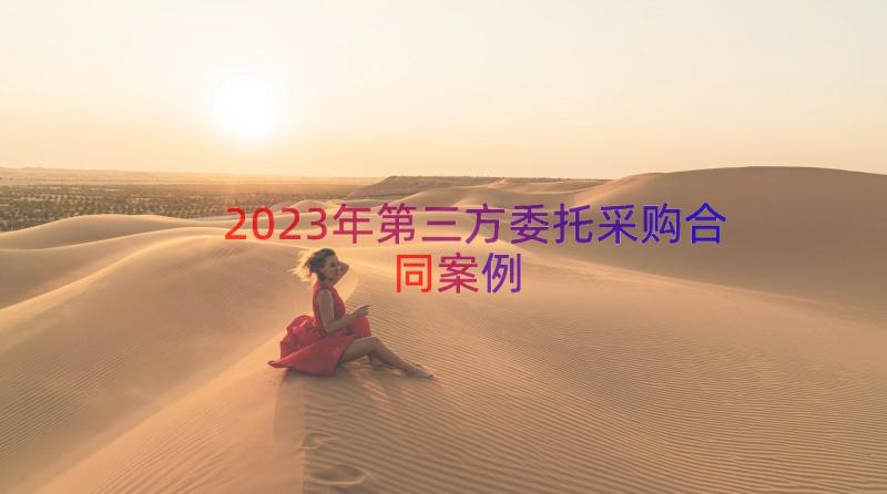 2023年第三方委托采购合同案例