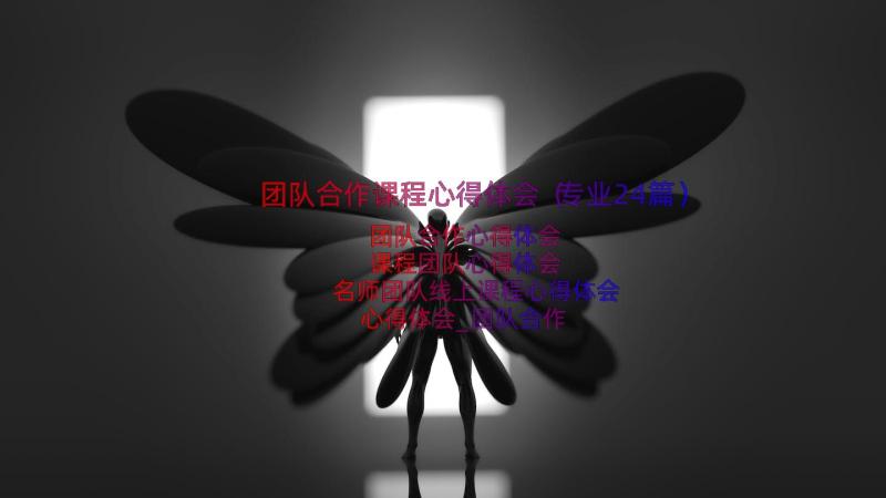 团队合作课程心得体会（专业24篇）