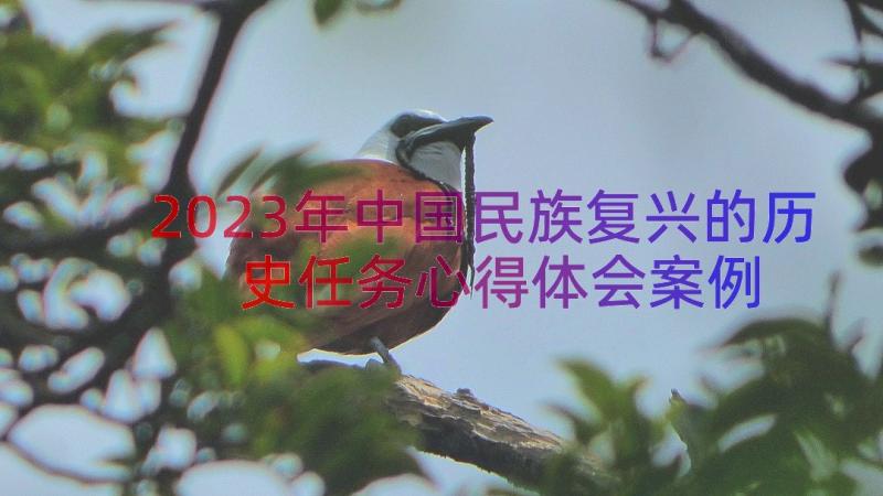 2023年中国民族复兴的历史任务心得体会（案例18篇）