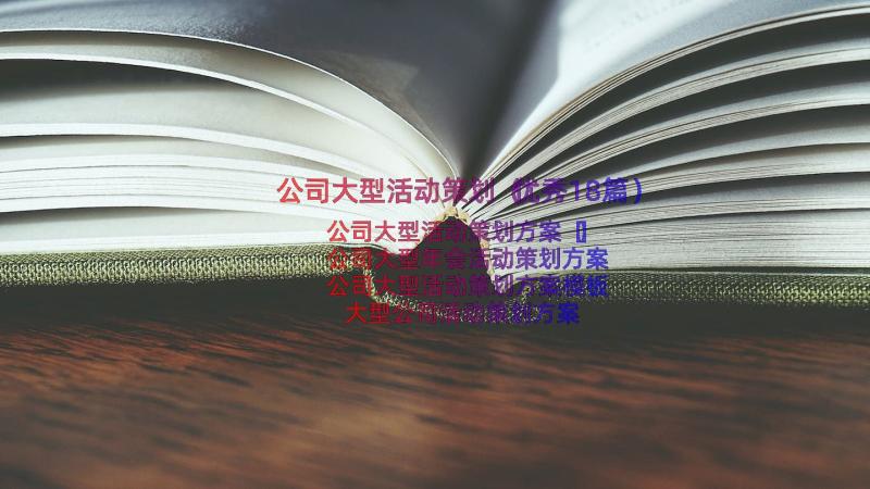 公司大型活动策划（优秀18篇）