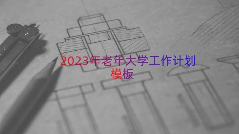 2023年老年大学工作计划（模板13篇）