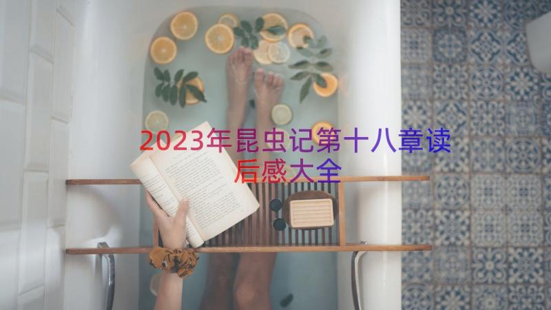 2023年昆虫记第十八章读后感大全（13篇）