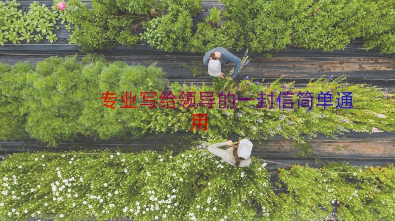 专业写给领导的一封信简单（通用18篇）