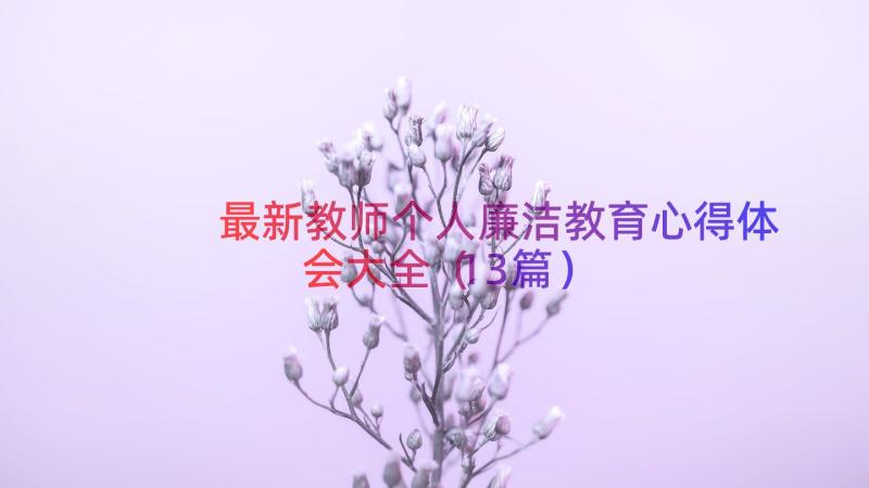 最新教师个人廉洁教育心得体会大全（13篇）