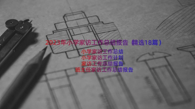 2023年小学家访工作总结报告（精选18篇）