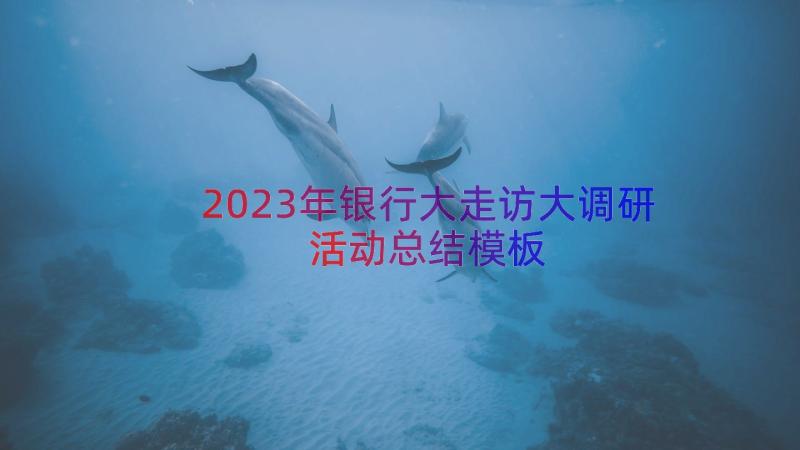 2023年银行大走访大调研活动总结（模板12篇）