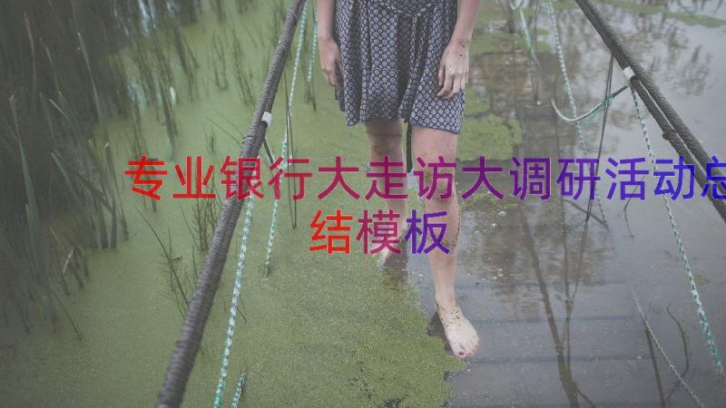 专业银行大走访大调研活动总结（模板15篇）