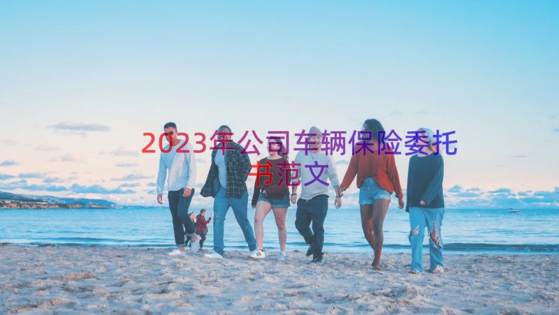 2023年公司车辆保险委托书范文（19篇）