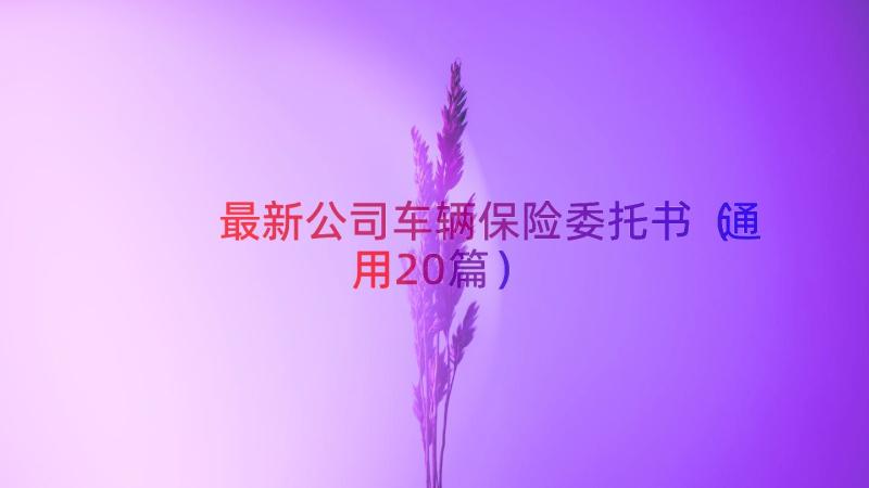 最新公司车辆保险委托书（通用20篇）