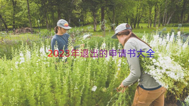 2023年退出的申请书大全（19篇）