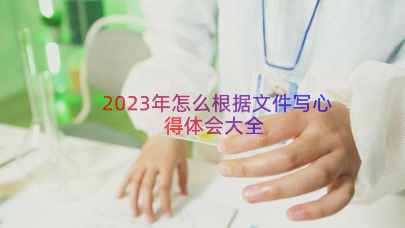 2023年怎么根据文件写心得体会大全（13篇）