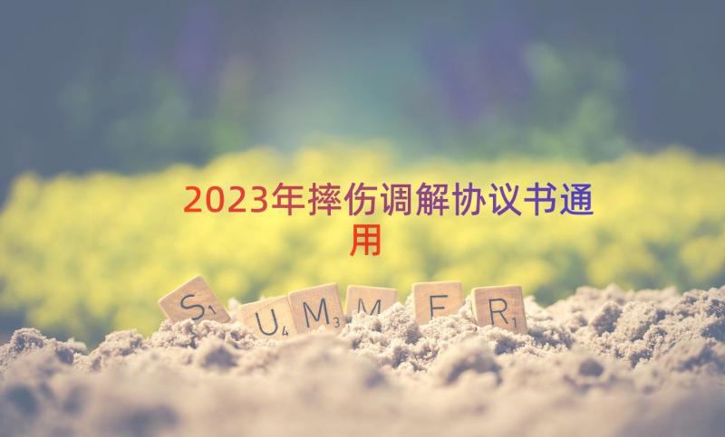 2023年摔伤调解协议书（通用17篇）