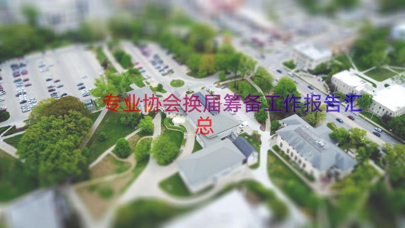 专业协会换届筹备工作报告（汇总17篇）