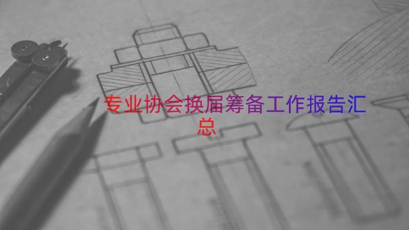 专业协会换届筹备工作报告（汇总14篇）