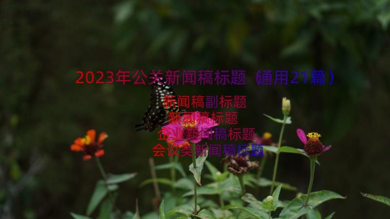 2023年公关新闻稿标题（通用21篇）