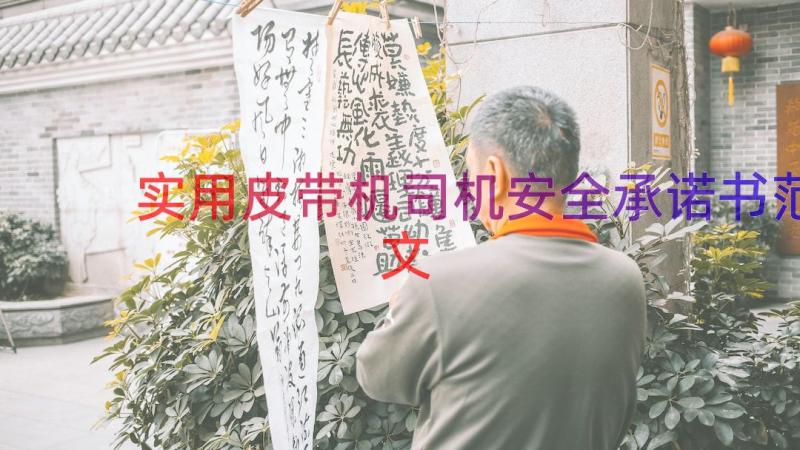 实用皮带机司机安全承诺书范文（14篇）