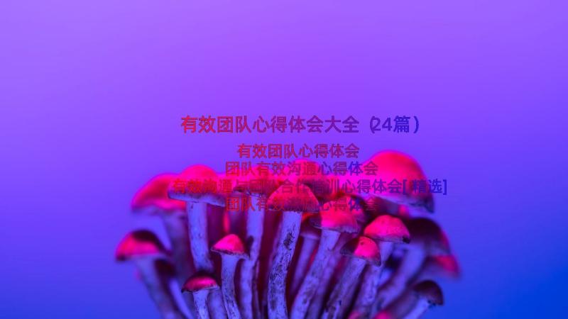 有效团队心得体会大全（24篇）