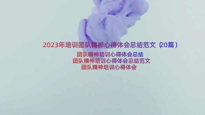 2023年培训团队精神心得体会总结范文（20篇）